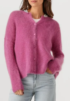 fuchsia des petits hauts vest bea