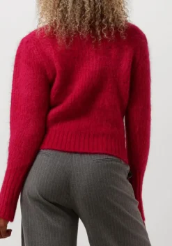 fuchsia suncoo trui pigrino