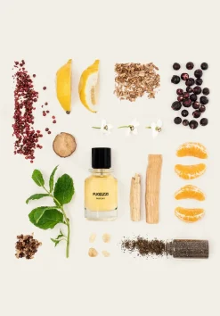 fugazzi parfum parfum 1 100ml - extrait de parfum