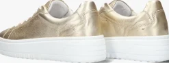 gouden blasz lage sneakers anemone-02