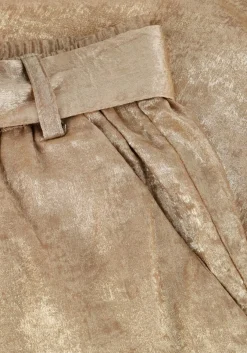 gouden summum pantalon pants metallic lamee
