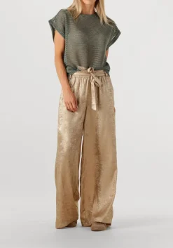 gouden summum pantalon pants metallic lamee