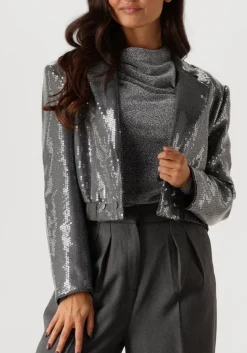 grijze aaiko blazer mille sequins pes 356