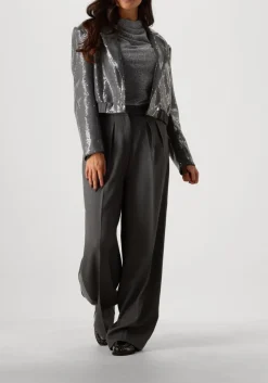 grijze aaiko blazer mille sequins pes 356