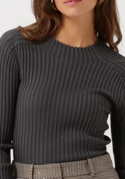 grijze aaiko tops & t-shirts bente vis 300