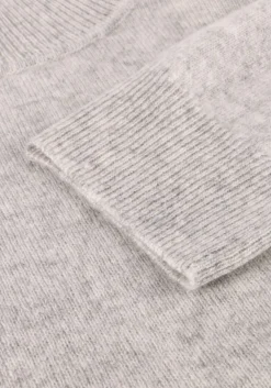grijze absolut cashmere trui themys