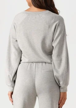 grijze aimee the label trui novy