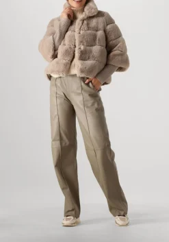 grijze alter ego pantalon lucca