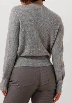 grijze caroline biss truien/vesten 4237