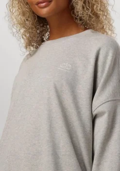 grijze co'couture mini jurk clean oversized sweat dress