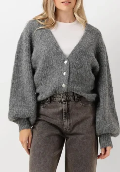 grijze co'couture vest corelie button knit