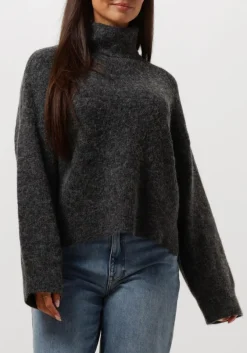 grijze gestuz coltrui alphagz rollneck