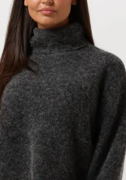 grijze gestuz coltrui alphagz rollneck