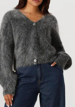 grijze gestuz vest gzdebbie cardigan