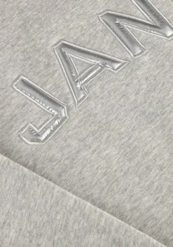 grijze janice sweater andy