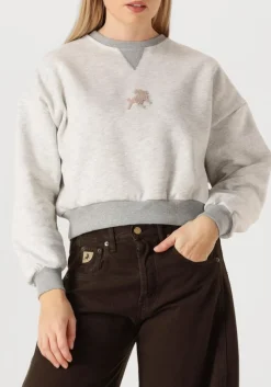 grijze lois jeans sweater cropp over