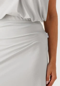 grijze penn & ink midirok skirt