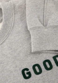 grijze the goodpeople sweater lteddy