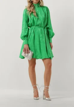 groene notre-v mini jurk nv-danton pearl dress