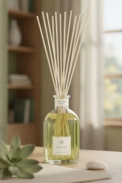 kleur n.v.t. dr. vranjes firenze geurstokjes ginger lime diffuser 500ml