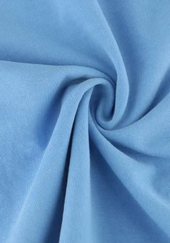 lichtblauwe american vintage t-shirt fizvalley men