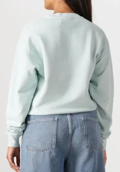 lichtblauwe closed sweater printed sweatshirt