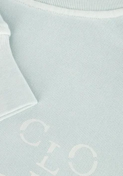 lichtblauwe closed sweater printed sweatshirt