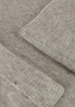 lichtgrijze aimee the label maxirok carlaa