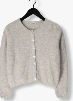 lichtgrijze american vintage vest vitow cardigan