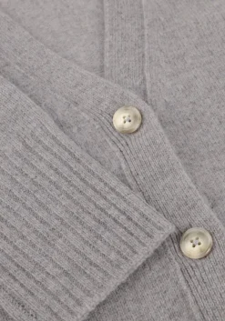 lichtgrijze closed trui v neck cardigan