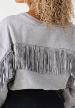 lichtgrijze co'couture trui studcc fringe sweat
