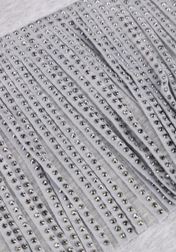 lichtgrijze co'couture trui studcc fringe sweat