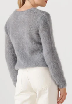 lichtgrijze des petits hauts trui chouky