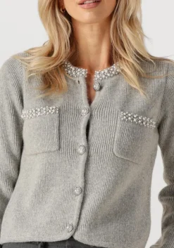 lichtgrijze suncoo vest garvi