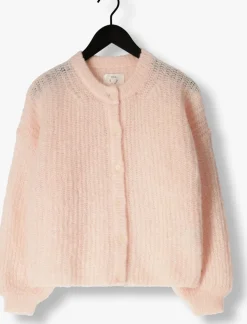 lichtroze des petits hauts trui alma