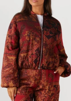 multi amaya amsterdam jack faith