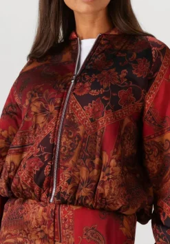 multi amaya amsterdam jack faith