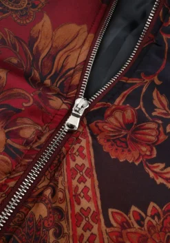 multi amaya amsterdam jack faith