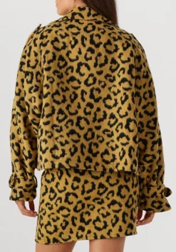 oker amaya amsterdam jack lotus