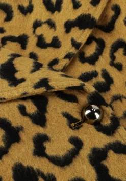 oker amaya amsterdam jack lotus