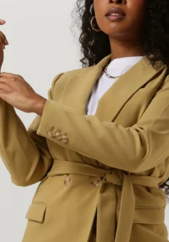 olijf aaiko blazer perize vis 333