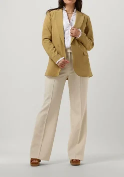 olijf aaiko blazer perize vis 333