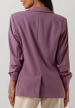 paarse dante6 blazer daya