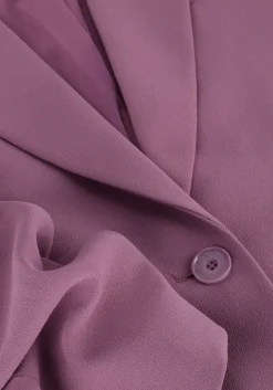 paarse dante6 blazer daya