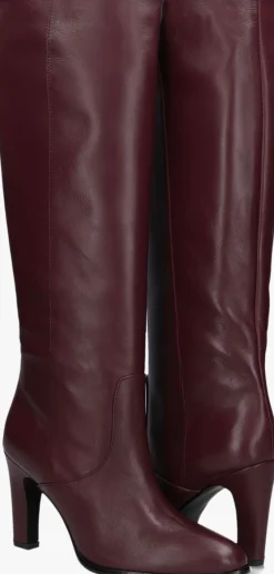 paarse notre-v hoge laarzen 36392