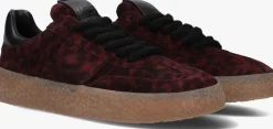 rode kennel & schmenger lage sneakers 14700