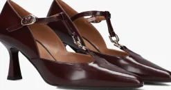 rode lodi pumps gamo