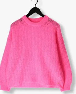 roze des petits hauts trui burma