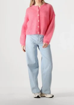 roze des petits hauts trui alma