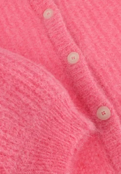 roze des petits hauts trui alma